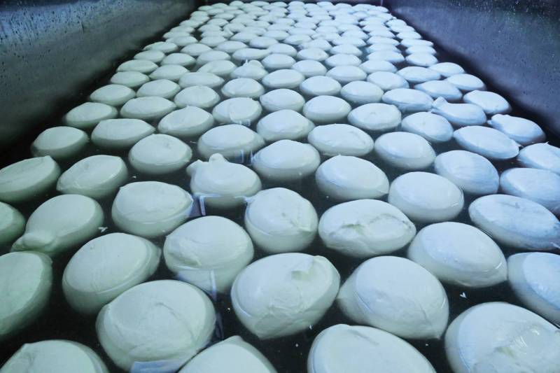L'usine Fattoria des Sole produit environ une tonne de fromages par jour.